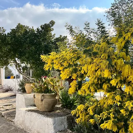 Gasthuis Syconium Trullo And Lamia Gea Charme And History 4*