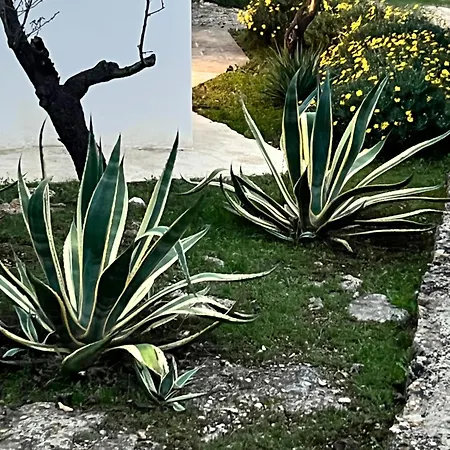 Syconium Trullo And Lamia Gea Charme And History 4*