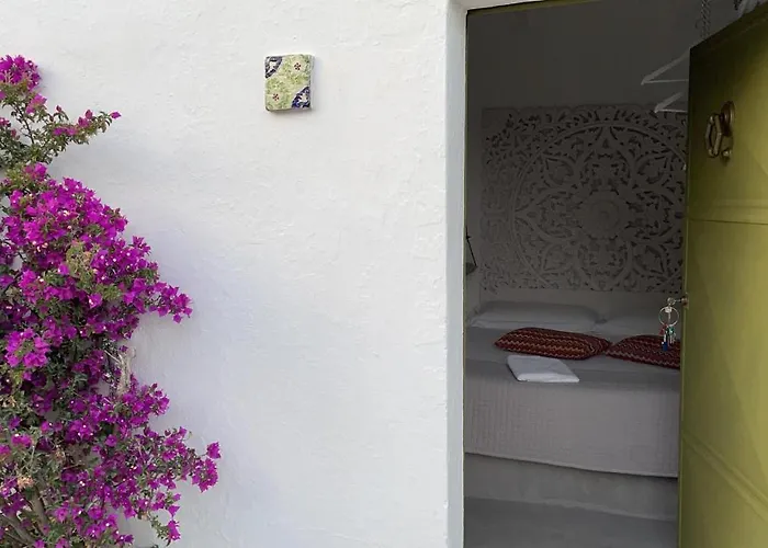 Syconium Trullo And Lamia Gea Charme And History Affittacamere 4*