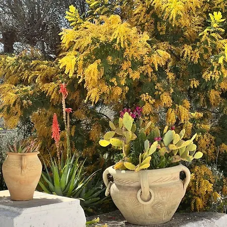 Syconium Trullo And Lamia Gea Charme And History Guest house
